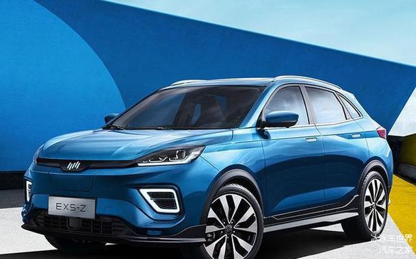 惠州310WEY威派豪华SUV市场的黑马，零跑汽车与智能交通系统的协同